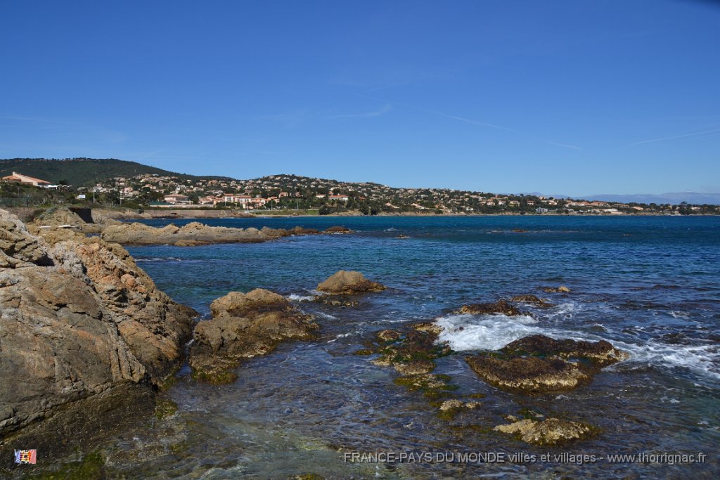 Environs de la pointe du corsaire 7.JPG - Environs de la pointe du Corsaire. 02 avril 2015.